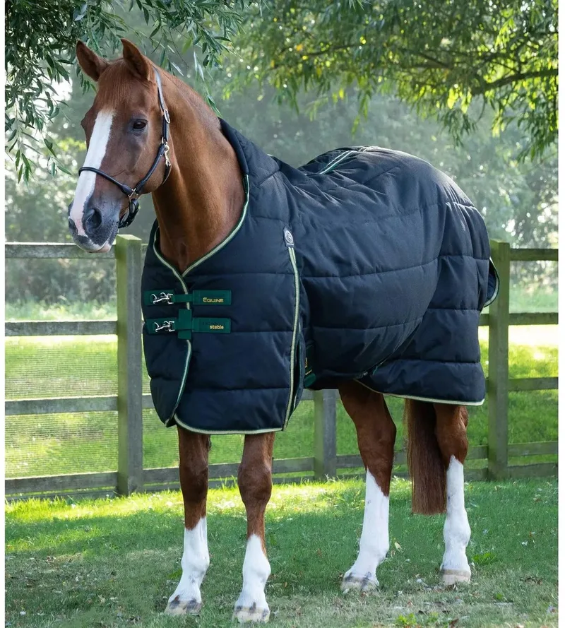 Paardendeken Premier Equine Lucanta 450 g von Premier Equine in Schwarz – Produktfoto