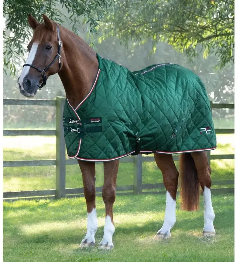 Paardendeken Premier Equine Tuscan 100 g by Premier Equine in Green – product photo