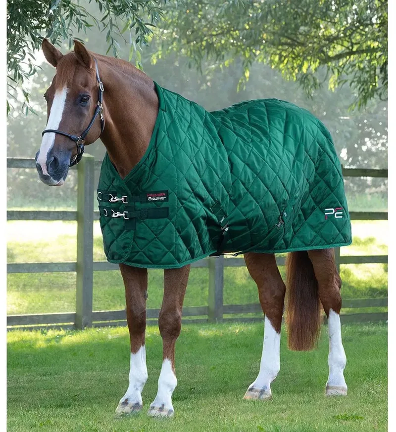 Paardendeken Premier Equine Tuscan 200 g by Premier Equine in Green – product photo