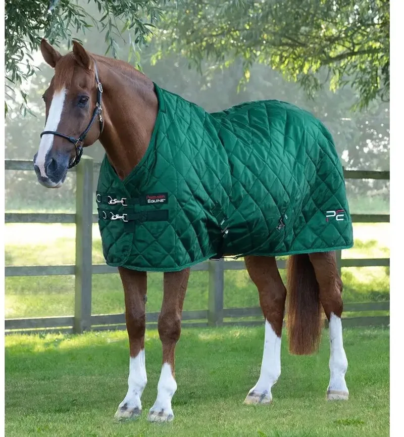Paardendeken Premier Equine Tuscan 200 g by Premier Equine in Groene – product photo