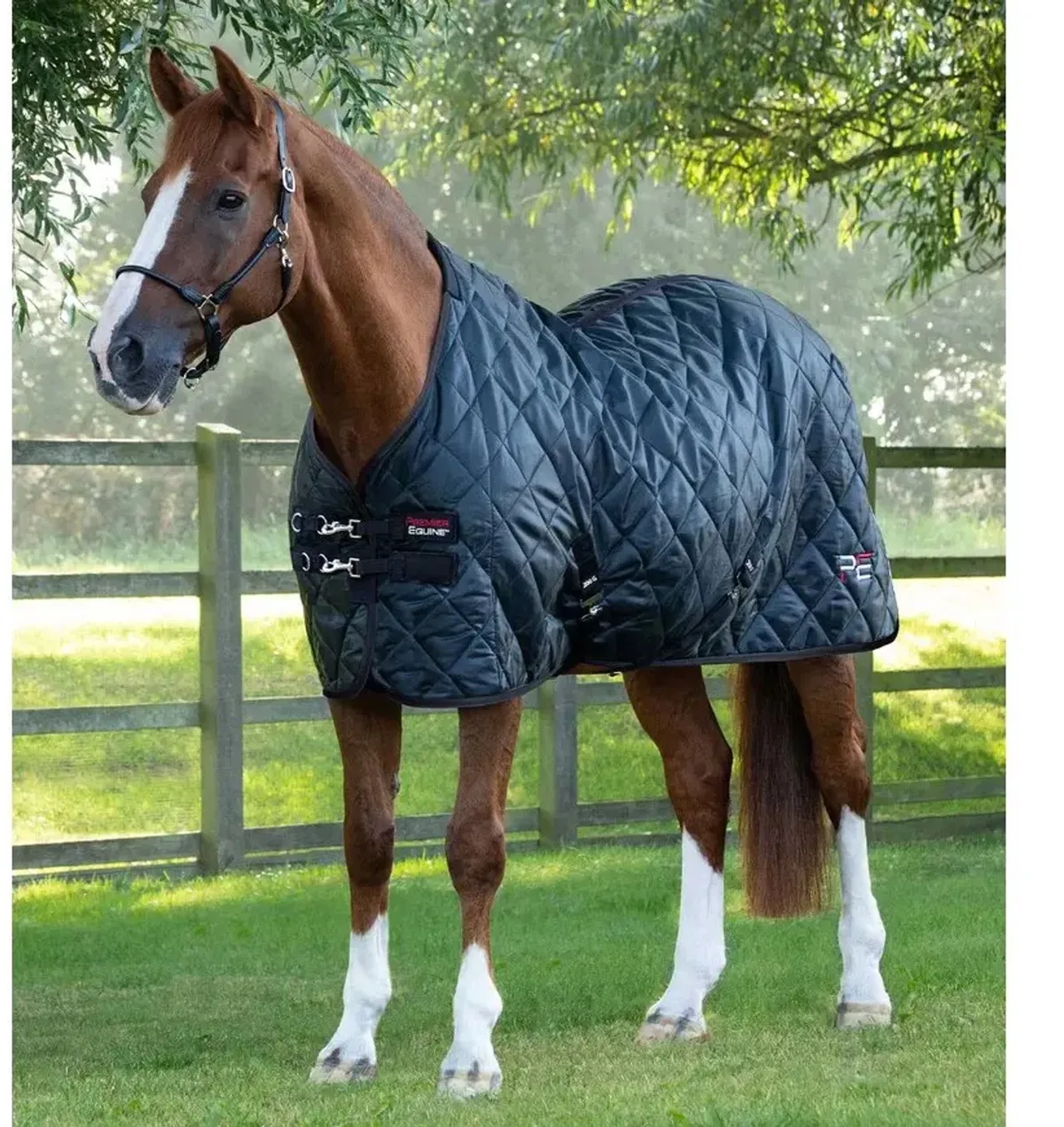 Paardendeken Premier Equine Tuscan 200 g by Premier Equine in Black – product photo