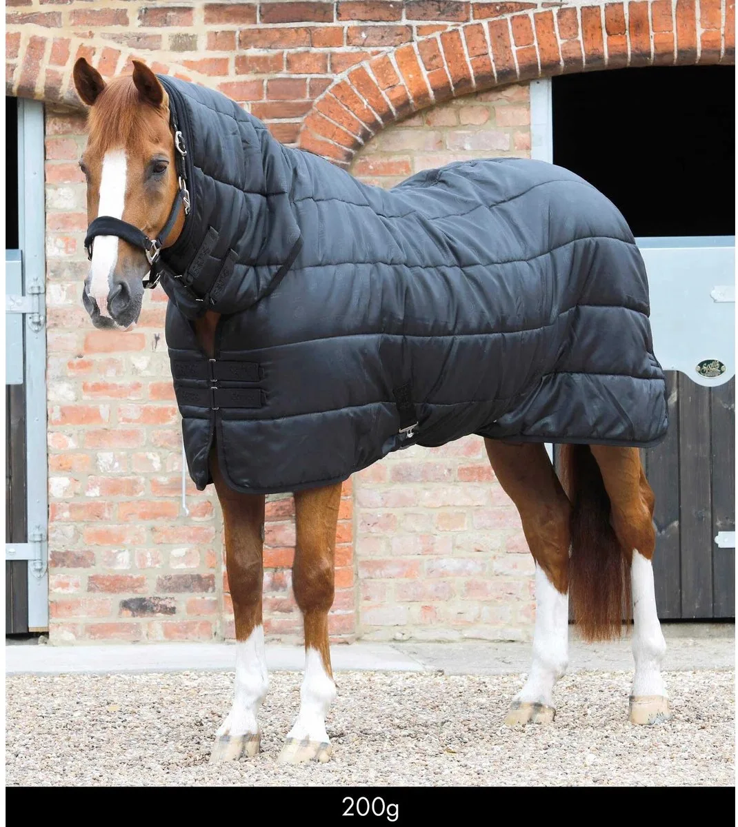 Paardenstaldeken met halsbedekking Premier Equine 200 g från Premier Equine i Svart – produktbild