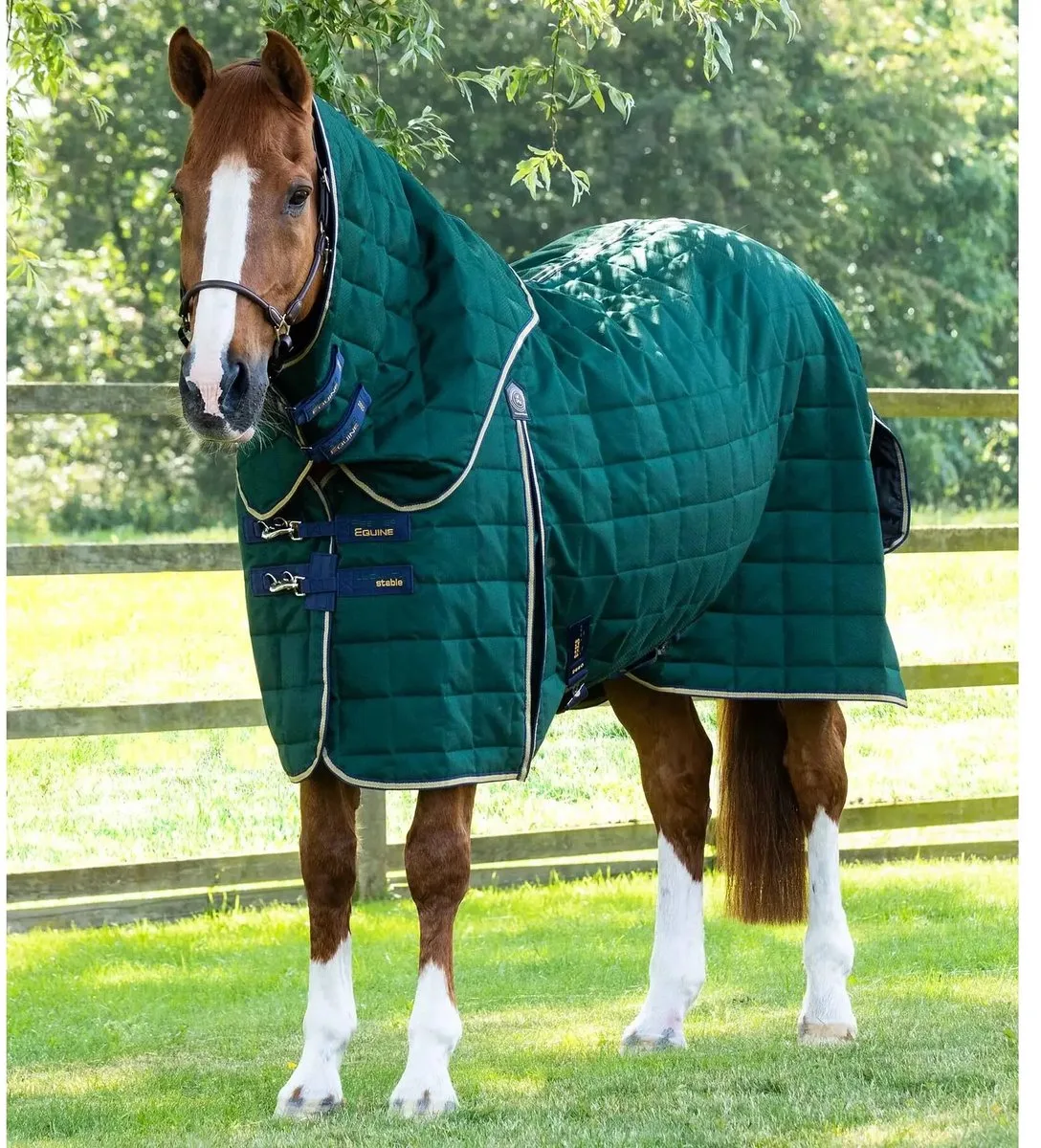 Paardenstaldeken met halsbedekking Premier Equine Lucanta 200 g by Premier Equine in Green – product photo