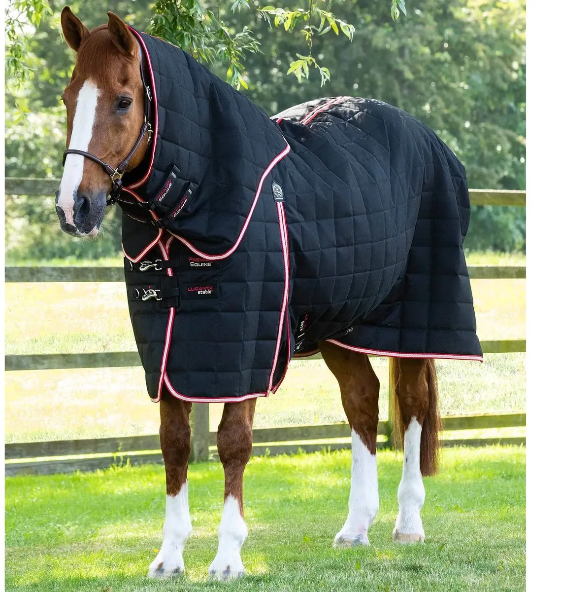 Paardenstaldeken met halsbedekking Premier Equine Lucanta 200 g by Premier Equine in Black – product photo