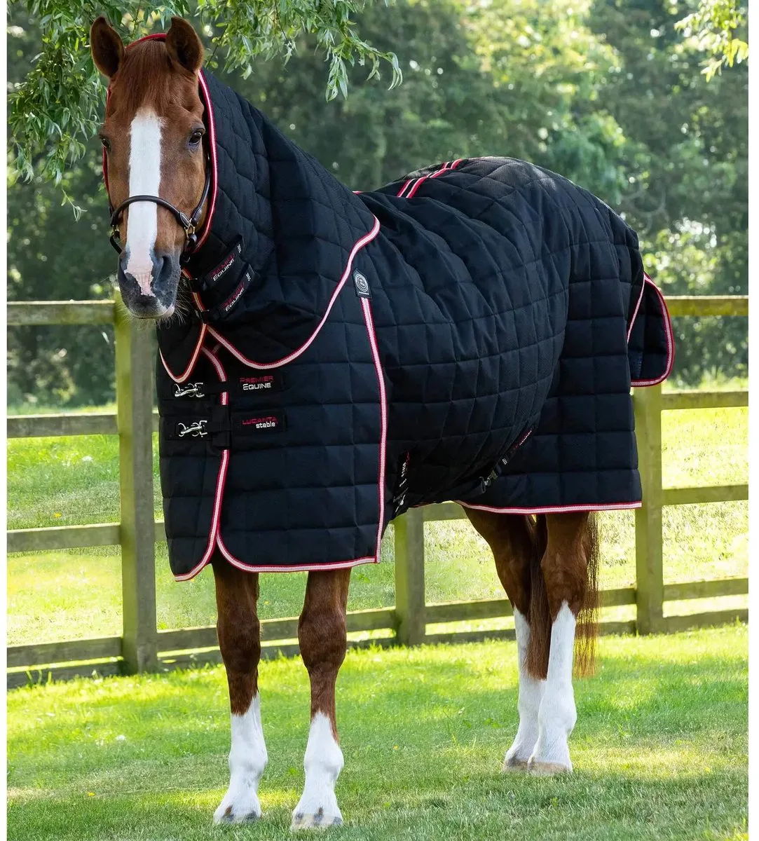 Paardenstaldeken met halsbedekking Premier Equine Lucanta 450 g by Premier Equine in Black – product photo
