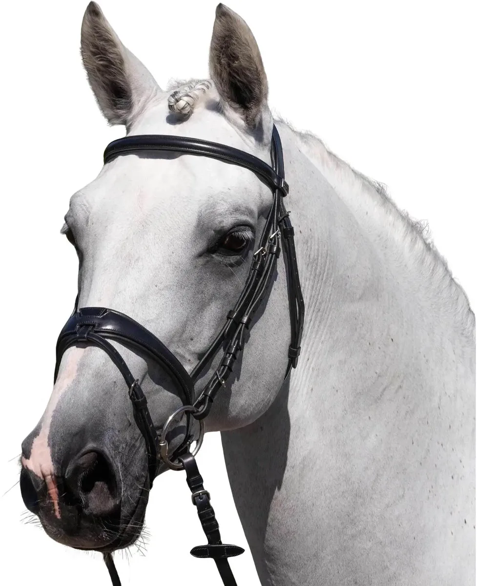 Riem voor paardrijden Premier Equine Artana by Premier Equine in Black – product photo