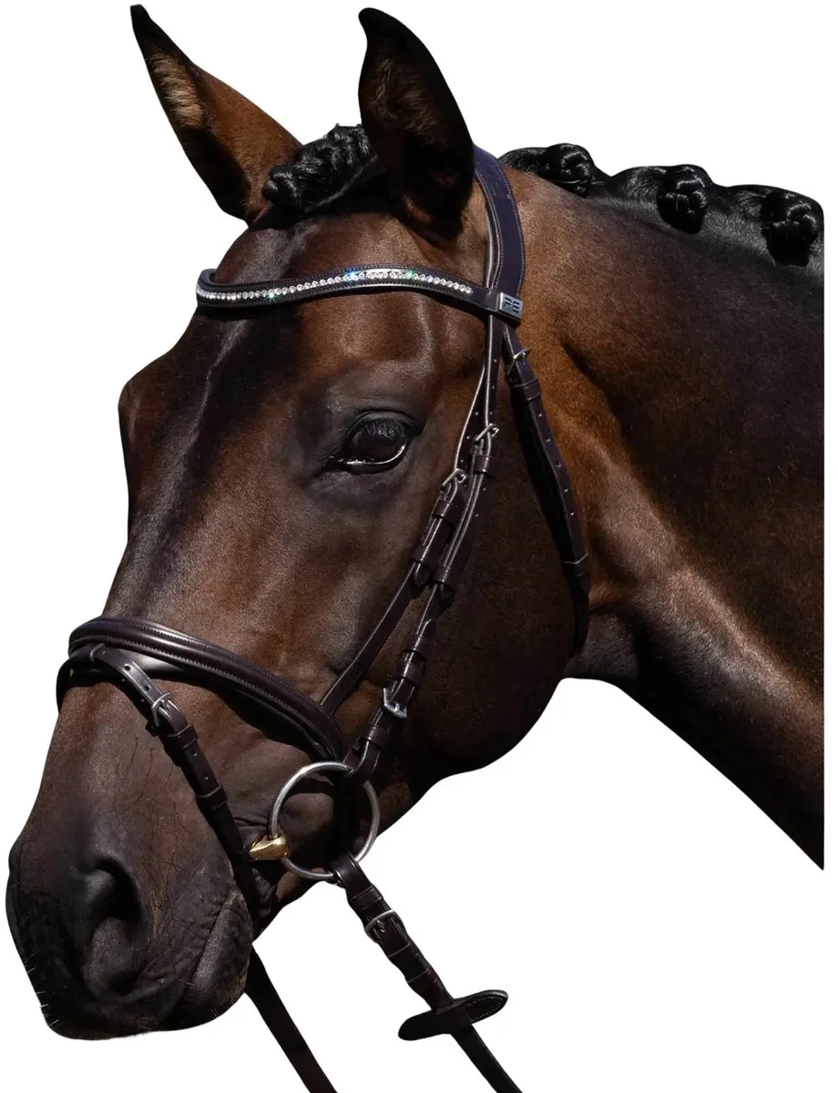 Riem voor paardrijden Premier Equine Rivere van Premier Equine in Bruin – productfoto