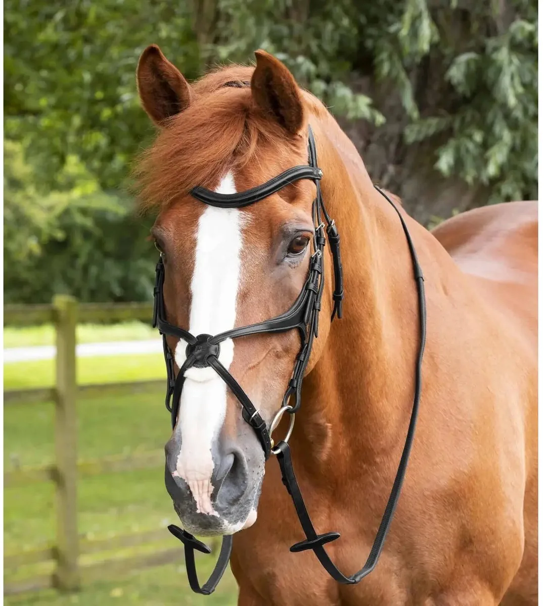 Rubberen rendier Premier Equine Diego Pony 50 fra Premier Equine i Sort – produktbillede