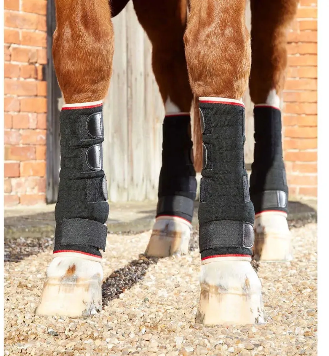 Sneldrogende beenkappen voor paarden Premier Equine von Premier Equine in Schwarz – Produktfoto