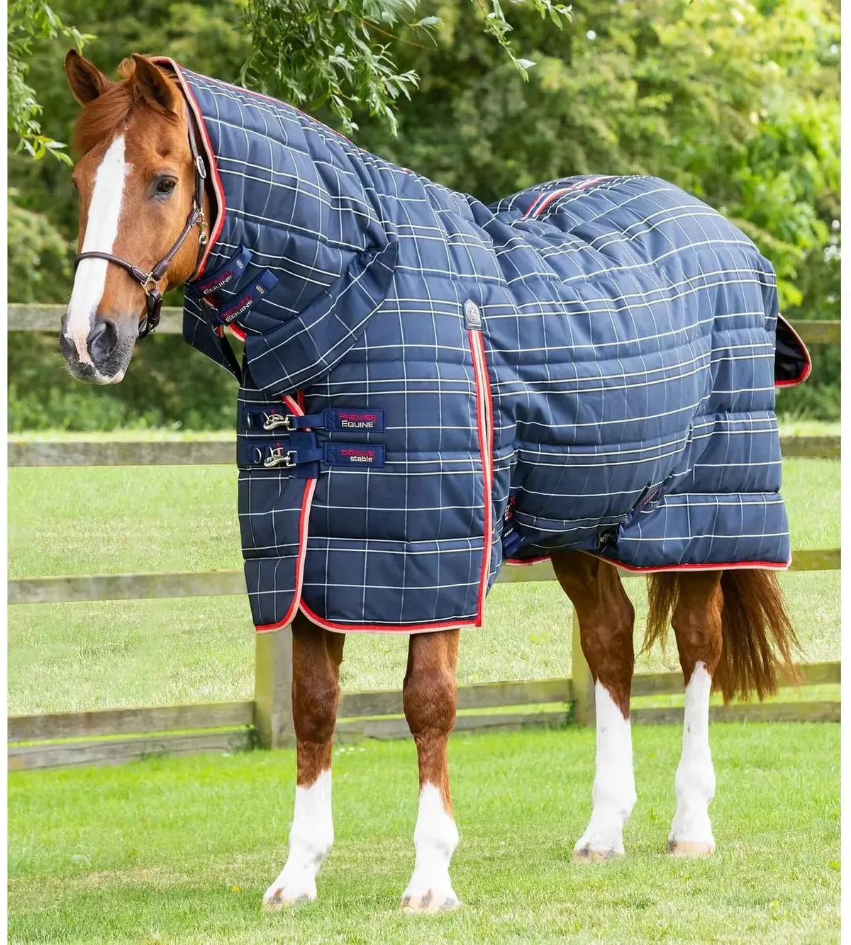 Staldeken voor paarden met halsbedekking Premier Equine Domus 400 g van Premier Equine in Blauw – productfoto
