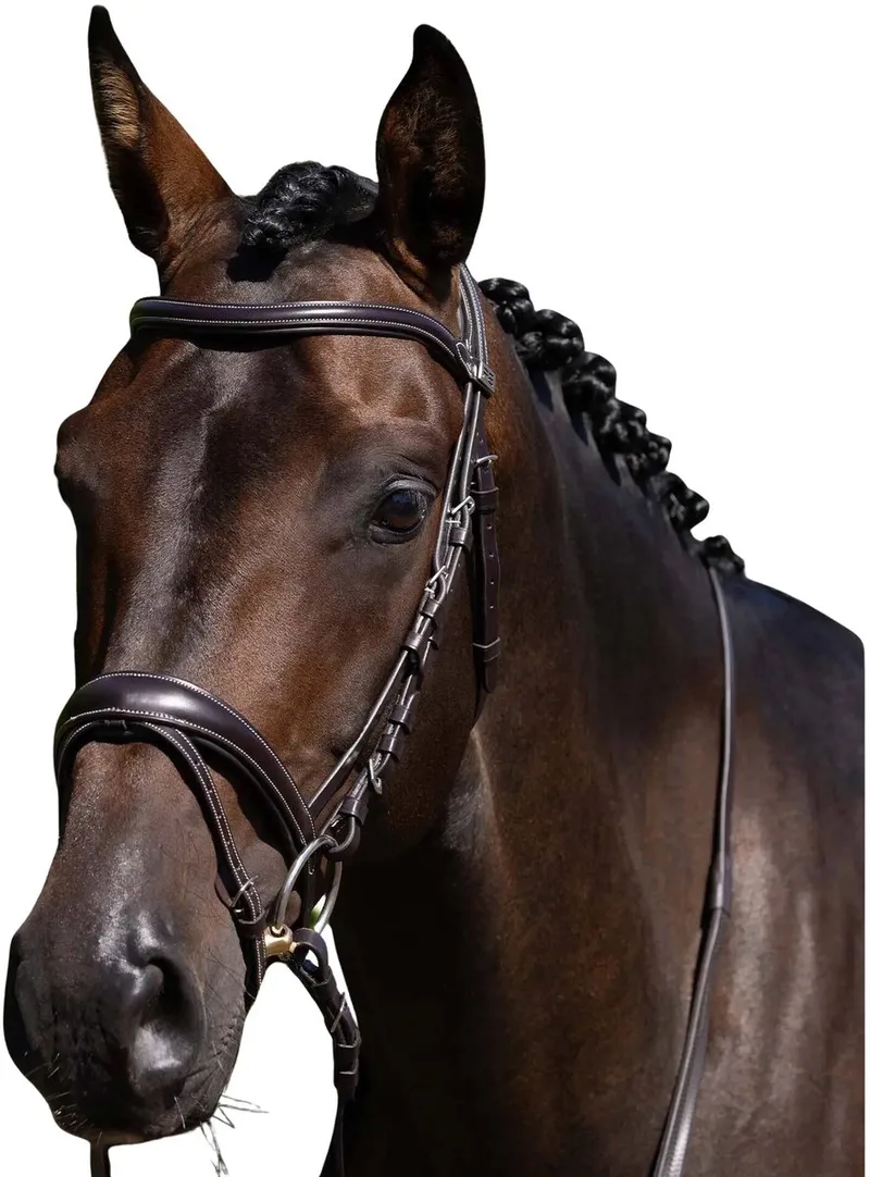 Teugels voor paard Premier Equine Cassano von Premier Equine in Braun – Produktfoto