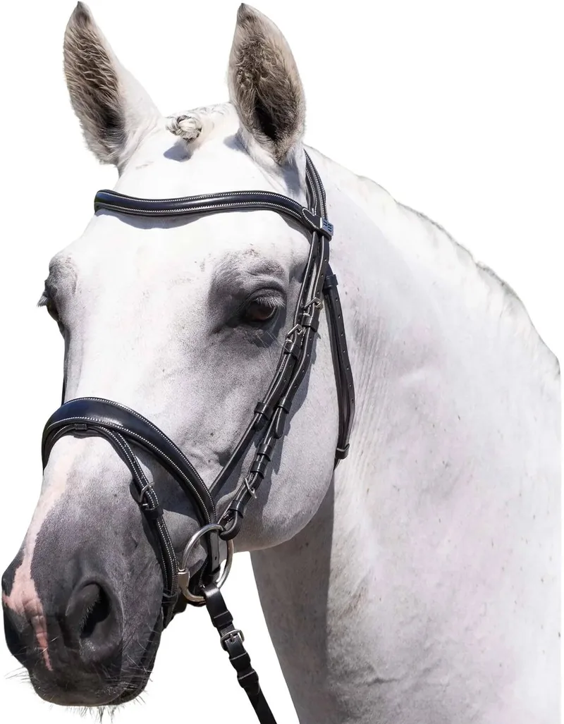 Teugels voor paard Premier Equine Cassano fra Premier Equine i Sort – produktbillede