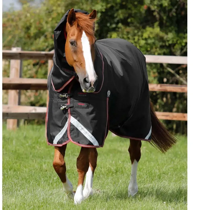 Titan 100g Outdoor Paardendeken met Nekbedekking by Premier Equine in Black – product photo
