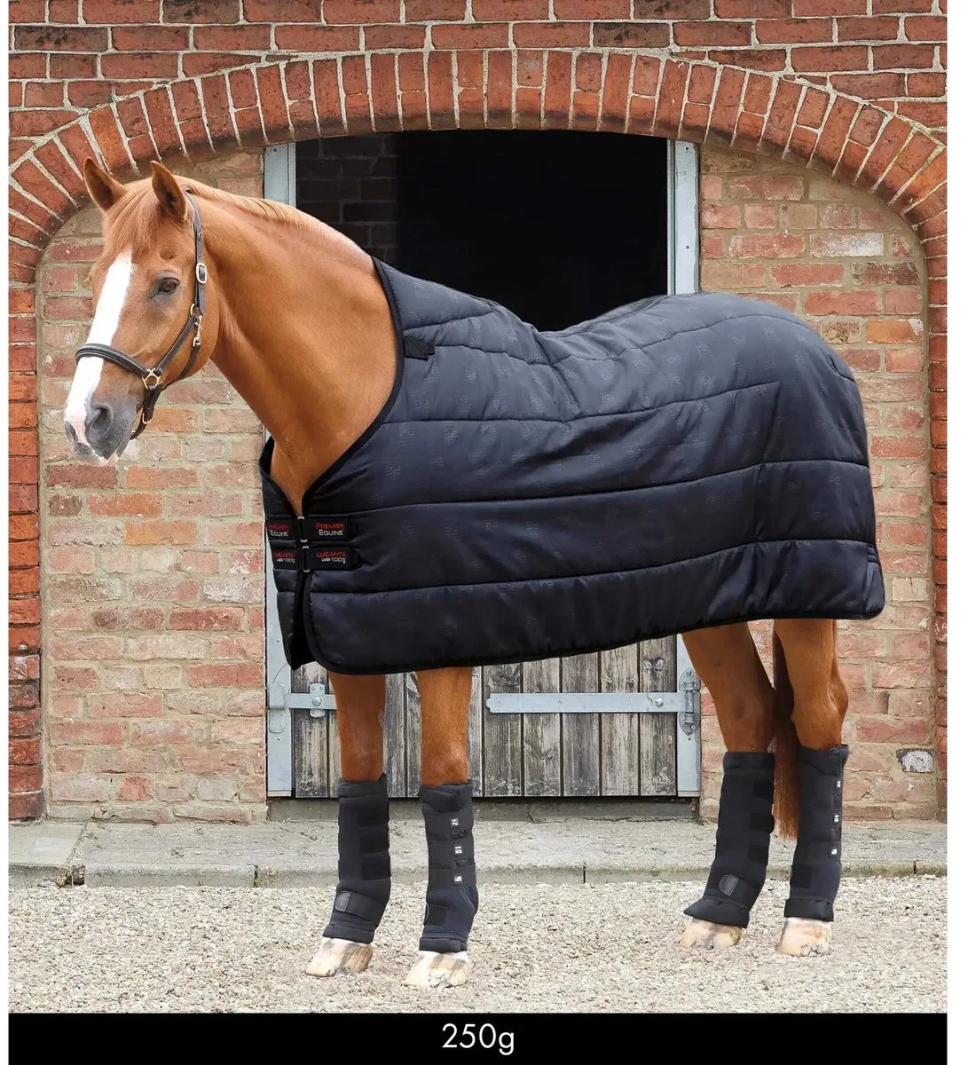 Undercover voor paarden Premier Equine Lucanta 250 g fra Premier Equine i Sort – produktbillede