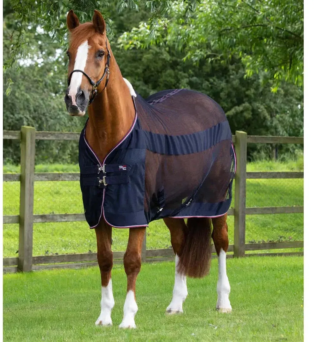 Verkoelend paardenhemd Premier Equine Arisca Scrim de Premier Equine en Marine – photo produit