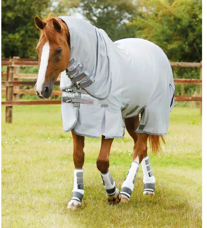 Vliegendeken voor pony met buikflap Premier Equine Bug Buster de Premier Equine en Argent – photo produit
