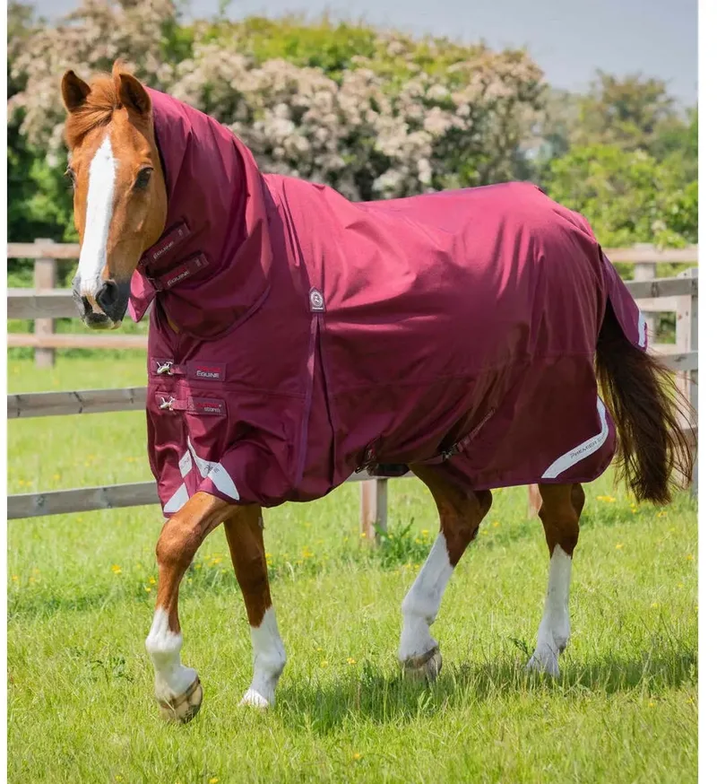 Waterdichte paardendeken met halsbedekking Premier Equine Buster Storm Classic 90 g by Premier Equine in Bordeauxrood – product photo