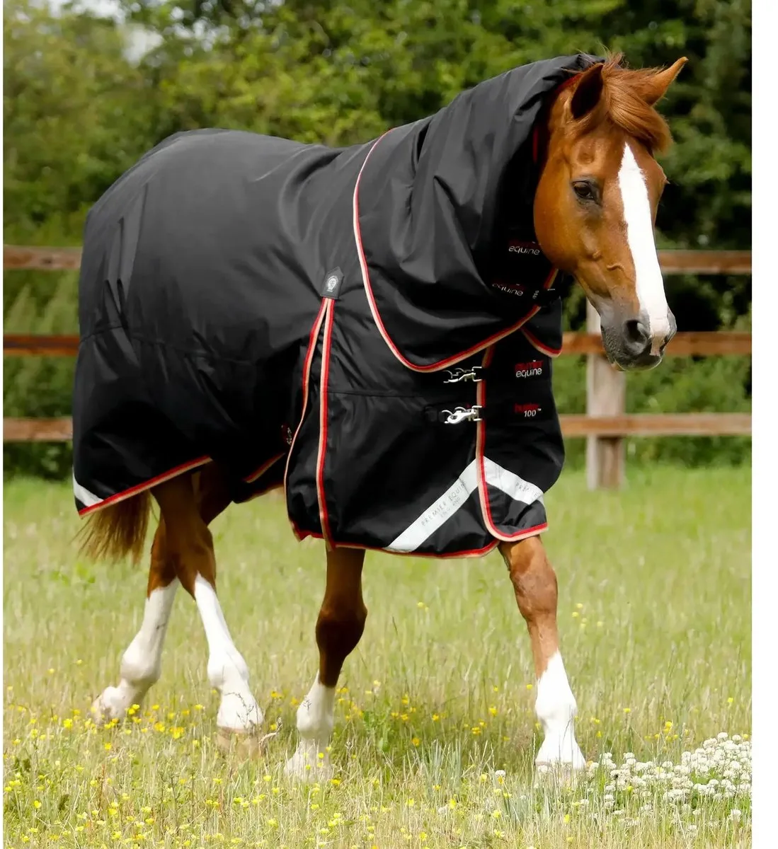 Waterdichte paardendeken met halsbedekking Premier Equine Buster 100 g från Premier Equine i Svart – produktbild
