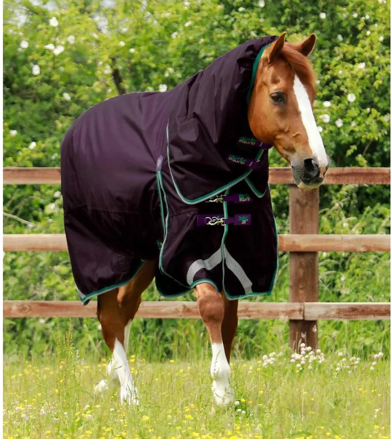 Waterdichte paardendeken met halsbedekking Premier Equine Buster 200 g by Premier Equine in Purple – product photo
