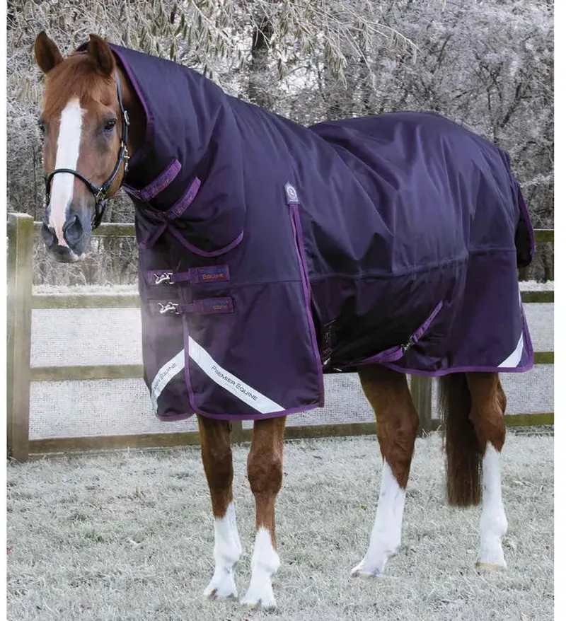 Waterdichte paardendeken met halsbedekking Premier Equine Buster Storm Classic 420 g by Premier Equine in Purple – product photo