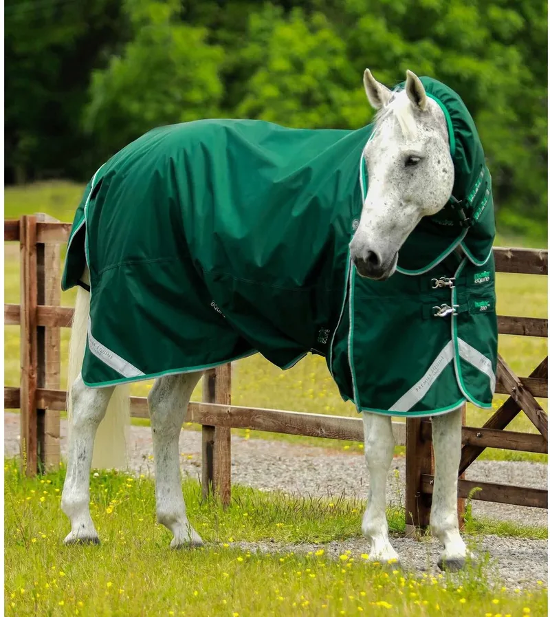 Waterdichte paardendeken met halsbedekking Premier Equine Buster 200 g by Premier Equine in Groene – product photo