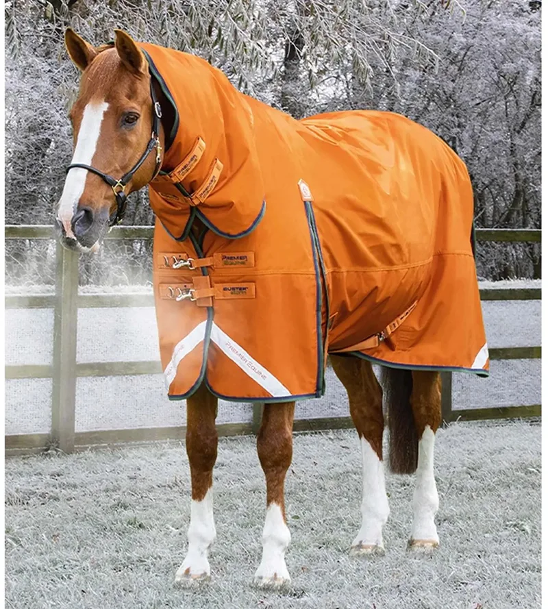 Waterdichte paardendeken met halsbedekking Premier Equine Buster Combo 400g von Premier Equine in Orange – Produktfoto