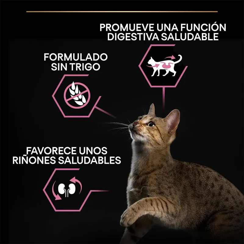 Adult Delicate Digestion - Katten Droogvoer - Kalkoen - 1,5 kg de Purina Pro Plan – photo produit 3 sur 6