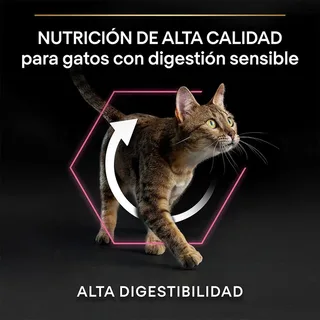 Adult Delicate Digestion - Katten Droogvoer - Kalkoen - 1,5 kg de Purina Pro Plan – photo produit 5 sur 6