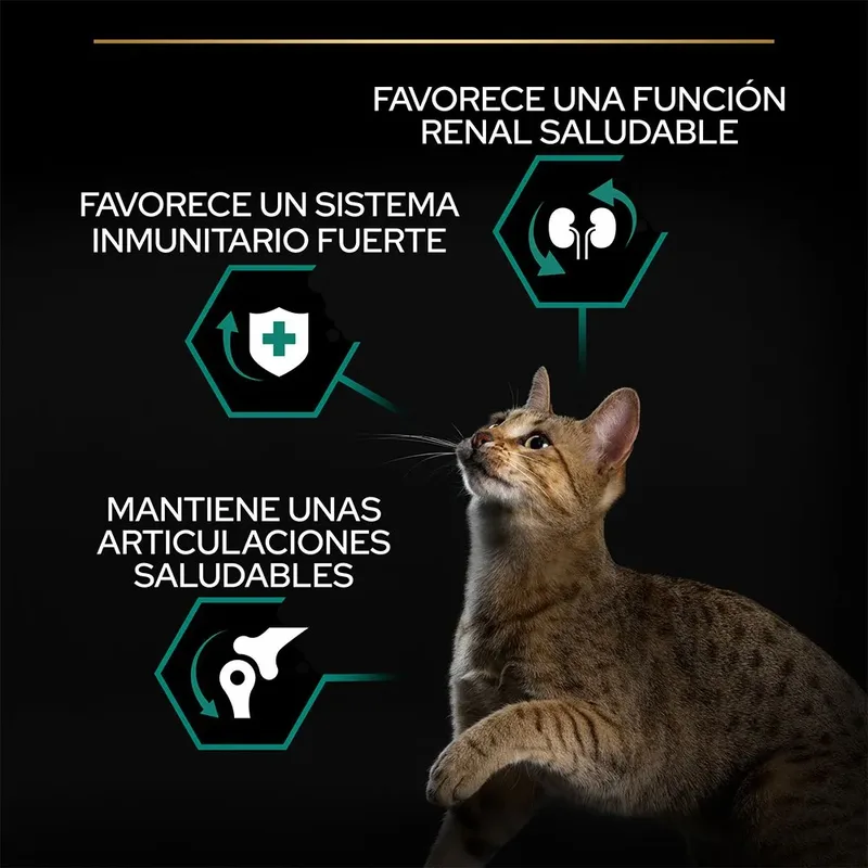 Adult Renal Plus - Katten Droogvoer - Kip - 3 kg fra Purina Pro Plan – produktbillede 3 af 6