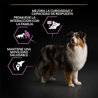Age Defence Senior (7+) - Hondenvoer - Kip - 14 kg de Purina Pro Plan – photo produit 3 sur 6