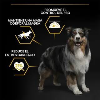 All Sizes Adult Light/Sterilised - Honden droogvoer - Kip- 3 kg von Purina Pro Plan – Produktfoto 3 von 6