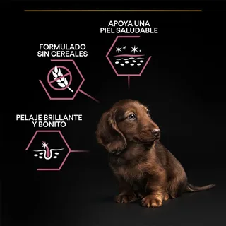 Dog Puppy Small & Mini Breed Sensitive Skin - Hondenvoer - Zalm 3 kg de Purina Pro Plan – photo produit 3 sur 6
