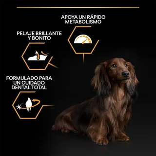 Everyday Nutrition Adult Small & Mini - Honden Droogvoer - Kip - 3 kg von Purina Pro Plan – Produktfoto 3 von 6