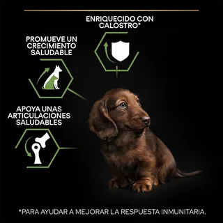 Healthy Start Puppy Small & Mini - Honden Droogvoer - Kip - 3 kg by Purina Pro Plan – product photo 3 of 6
