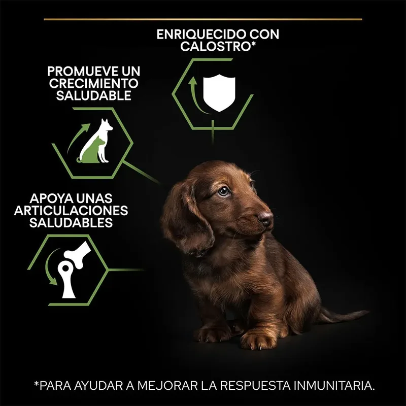 Healthy Start Puppy Small & Mini - Honden Droogvoer - Kip - 3 kg by Purina Pro Plan – product photo 3 of 6