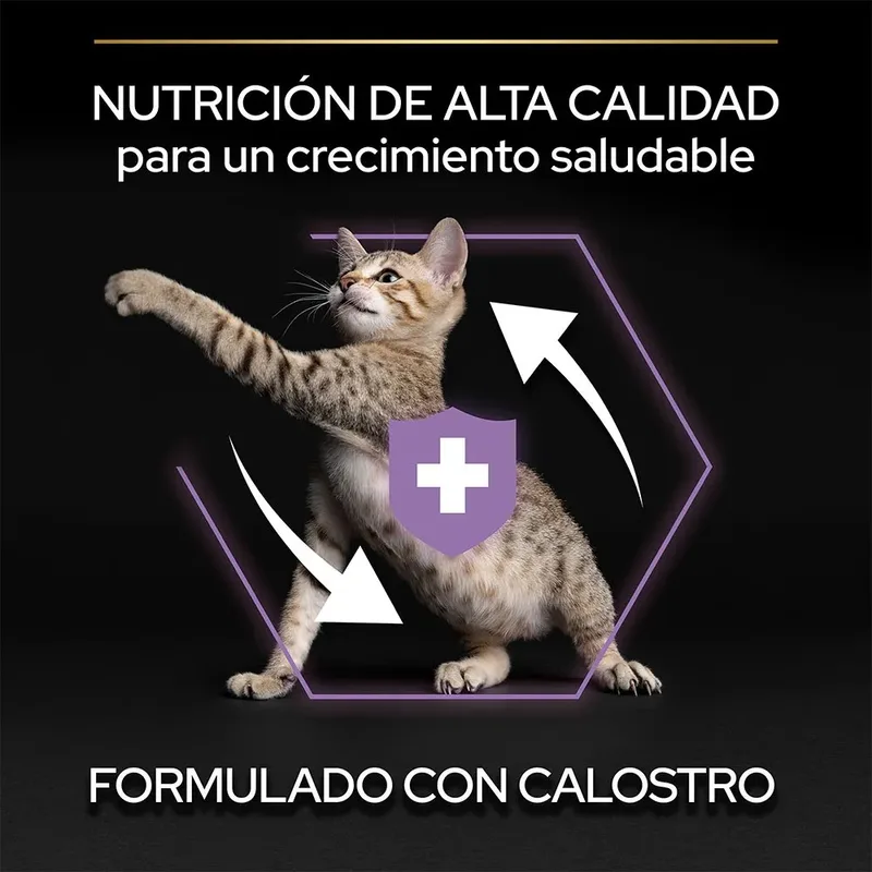Kitten Healthy Start - Kattenvoer Droogvoer - Kip - 1.5 kg von Purina Pro Plan – Produktfoto 6 von 6