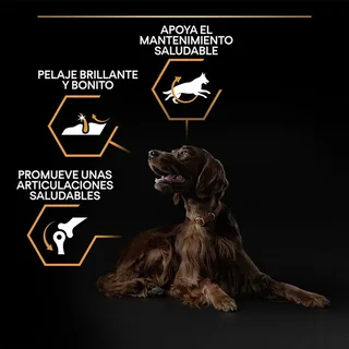 Large Athletic Adult - Hondenvoer - Kip - 14 kg by Purina Pro Plan – product photo 3 of 6