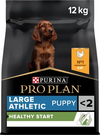 Large Athletic Puppy - Hondenvoer - Kip - 12 kg de Purina Pro Plan – photo produit 1 sur 6