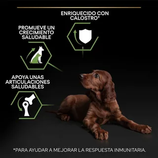 Large Athletic Puppy - Hondenvoer - Kip - 12 kg de Purina Pro Plan – photo produit 3 sur 6