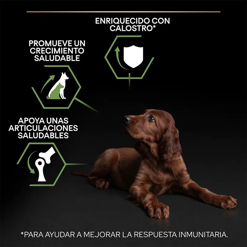 Large Athletic Puppy - Hondenvoer - Kip - 12 kg de Purina Pro Plan – photo produit 3 sur 6