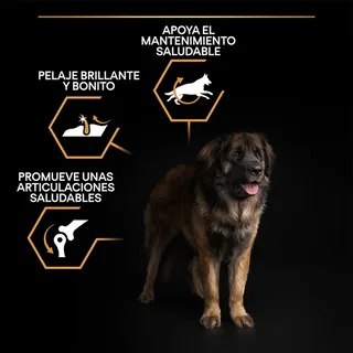 Large Robust Adult - Hondenvoer - Kip - 14 kg de Purina Pro Plan – photo produit 3 sur 6