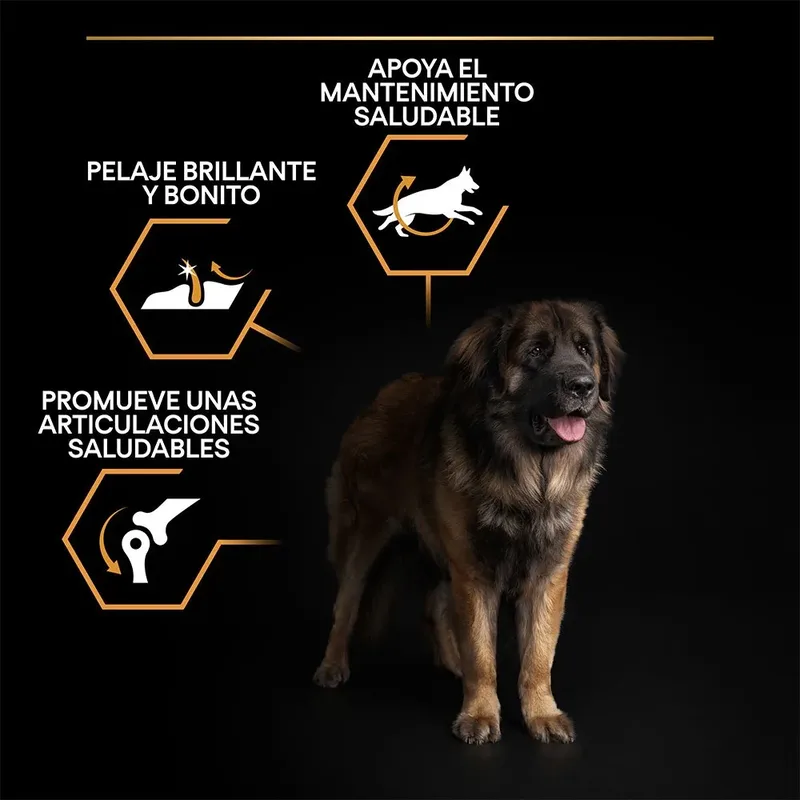 Large Robust Adult - Hondenvoer - Kip - 14 kg de Purina Pro Plan – photo produit 3 sur 6