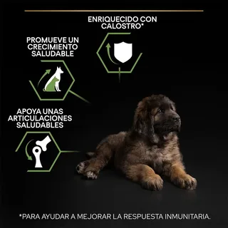 Large Robust Puppy - Hondenvoer - Kip - 12 kg by Purina Pro Plan – product photo 3 of 6