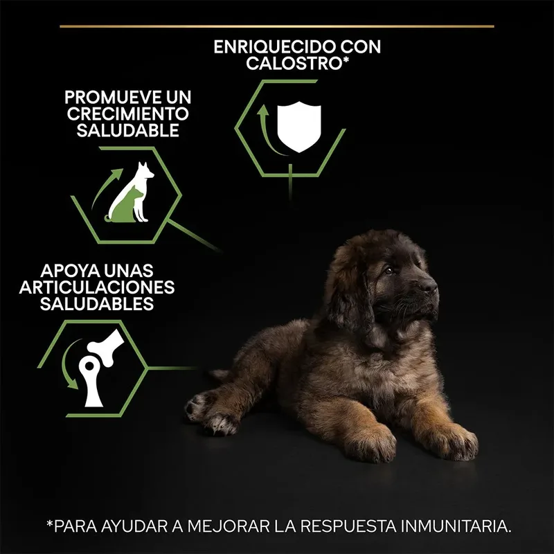 Large Robust Puppy - Hondenvoer - Kip - 12 kg by Purina Pro Plan – product photo 3 of 6