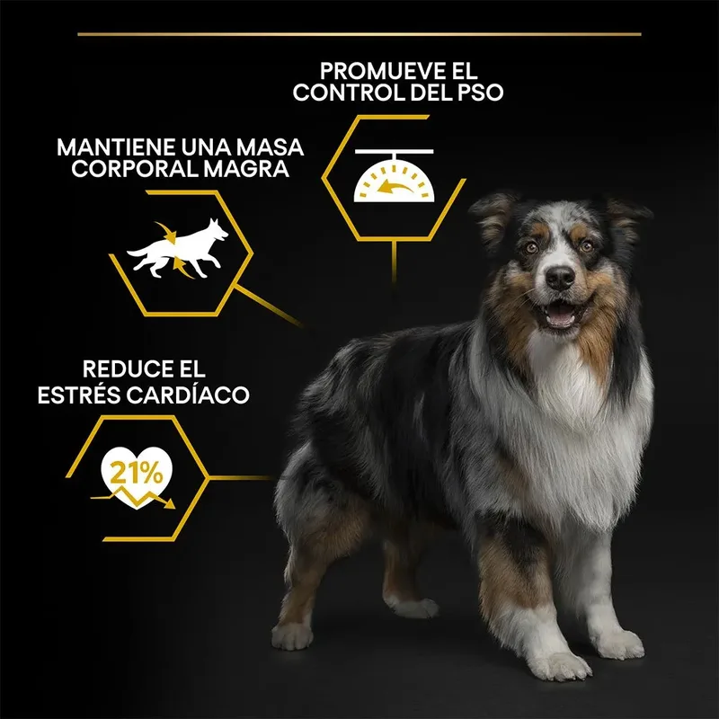 Light/Sterilised Adult - Hondenvoer - Kip - 14 kg by Purina Pro Plan – product photo 3 of 6