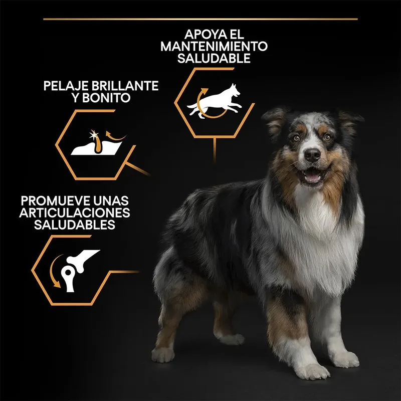 Medium Adult Everday Nutrition - Hondenvoer Droogvoer - Kip - 14 kg von Purina Pro Plan – Produktfoto 3 von 6