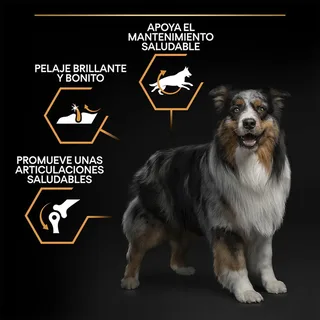 Medium Adult Everyday Nutrition- Honden droogvoer - Kip - 3 kg by Purina Pro Plan – product photo 3 of 6