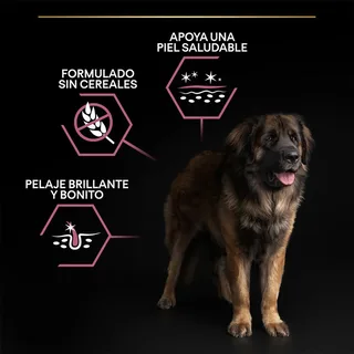 Sensitive Skin Large Robust Adult - Hondenvoer - Zalm - 14 kg von Purina Pro Plan – Produktfoto 3 von 6