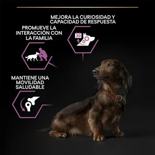 Small & Mini Adult 9+ (Senior) Age Defence - Honden Droogvoer - Kip - 3 kg by Purina Pro Plan – product photo 3 of 6