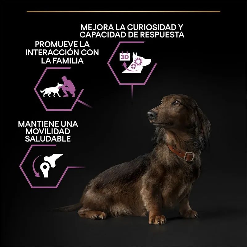 Small & Mini Adult 9+ (Senior) Age Defence - Honden Droogvoer - Kip - 3 kg by Purina Pro Plan – product photo 3 of 6
